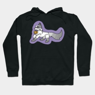 Halloween Cat (Siamese/tabby mix) Hoodie